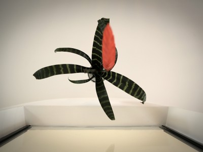 StudioCupo-32